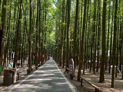 -山王坪喀斯特国家生态公园