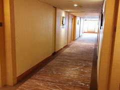 -新加坡乌节希尔顿酒店 (SG Clean)