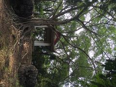 iphone_upload_pic-明秀园