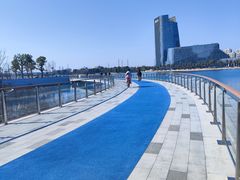 -金沙湖公园