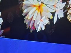 -尚荟汤泉生活馆