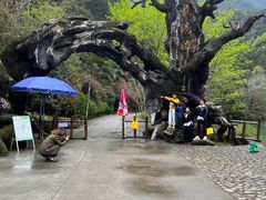 -龙湾潭国家森林公园