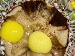 -大锅强·蒸海鲜青岛菜(吾悦广场店)