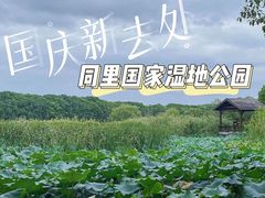 -同里国家湿地公园
