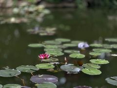 -昆明市金殿名胜区