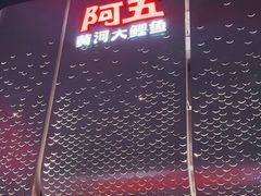 -阿五黄河大鲤鱼(英协路店)
