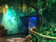 -沈阳海洋探索中心