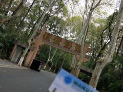 -灵谷景区