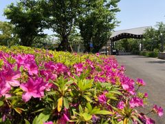 -嘉北郊野公园