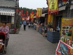 -兰陵国家农业公园