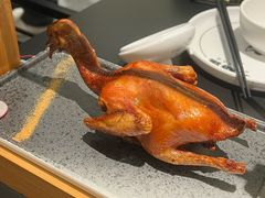 -羽鸽集·乳鸽专门店·地道顺德菜(岭南站店)