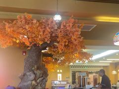 -君邦火锅(新疆大厦店)