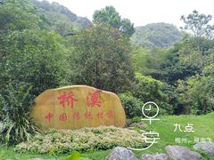 -雁南飞茶田景区