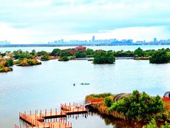 -芒洲湿地公园