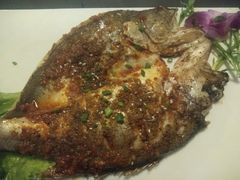 -小杨烤肉(高新店)