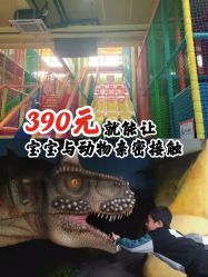 -宝燕乐园(闵行旗舰店)