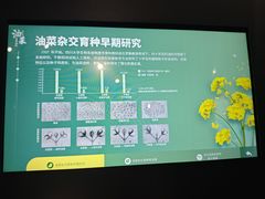 -四川大学博物馆