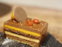 沙棘枸杞巧克力蛋糕-Tian品