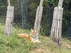 -大连森林动物园