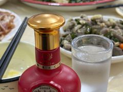 -东吴霸王兔(松青路店)