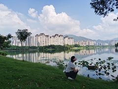 -飞来湖湿地公园