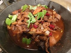 -阿财老铺·老蚌埠龙虾城(华夏总店)