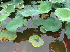 -西海子公园