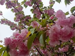 -万达广场(松江店)