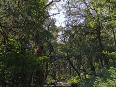 -阳台山自然风景区