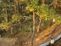 -东湖磨山景区