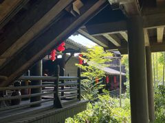 -大唐贡茶院