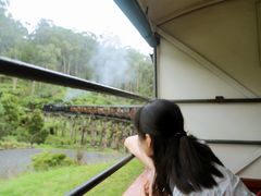 -普芬比利蒸汽火车