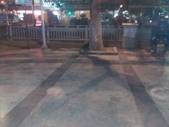 -鲜芋仙(苏州干将店)