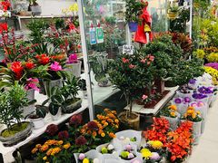 -无锡文化工艺品市场(槐古路店)