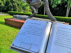 -东方绿舟景区