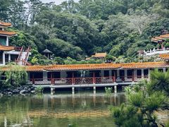 -深圳仙湖植物园