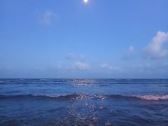 -奉贤海滩