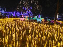 -燕郊植物园
