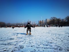 -丁香湖公园