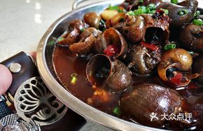 Spicy Goose Snail