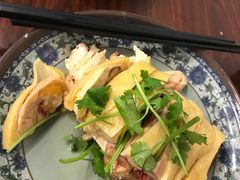 -九斤黄三黄鸡专卖店