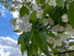 -长春市南湖公园