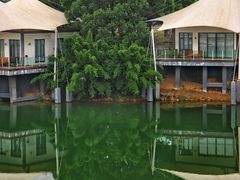 -帐篷客·溪龙茶谷度假酒店