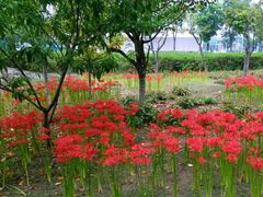 -白塘生态植物园