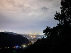 -铁山坪森林公园