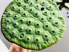 -南戴河国际娱乐中心