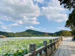 -顺峰山公园