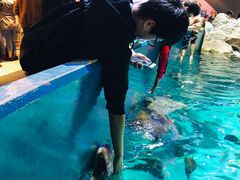 -瑞普利水族馆