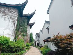 -东山雕花楼