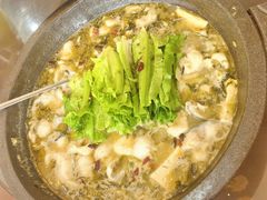 -都江堰石锅鱼